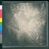 ���Ƚs��:12-3133