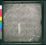 ���Ƚs��:12-3171