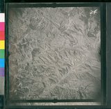 ���Ƚs��:12-3171