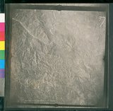 ���Ƚs��:12-3171