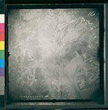 ���Ƚs��:12-3252