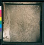 ���Ƚs��:12-3269