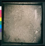 ���Ƚs��:12-3269