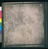 ���Ƚs��:12-3269