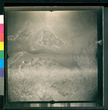 ���Ƚs��:12-3269