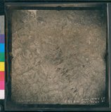 ���Ƚs��:12-3281