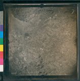 ���Ƚs��:12-3281