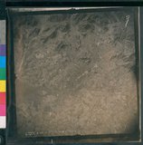 ���Ƚs��:12-3281