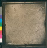 ���Ƚs��:12-3281