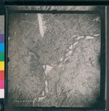 ���Ƚs��:12-3281