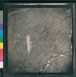 ���Ƚs��:12-3281