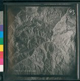 ���Ƚs��:12-3281