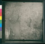 ���Ƚs��:12-3291