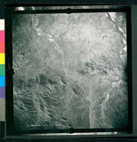 ���Ƚs��:12-3598