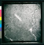 ���Ƚs��:12-3598