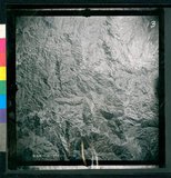 ���Ƚs��:12-3598