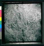 ���Ƚs��:12-3598