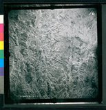 ���Ƚs��:12-3598