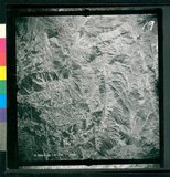 ���Ƚs��:12-3598