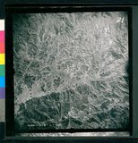 ���Ƚs��:12-3598