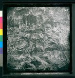 ���Ƚs��:12-3598