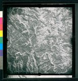 ���Ƚs��:12-3598