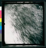 ���Ƚs��:12-3598