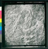 ���Ƚs��:12-3598