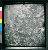 ���Ƚs��:12-3598