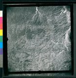 ���Ƚs��:12-3598