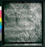 ���Ƚs��:12-3598