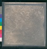 ���Ƚs��:12-3941-VV