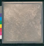 ���Ƚs��:12-3941-VV