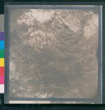 ���Ƚs��:12-3941-VV