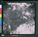 ���Ƚs��:12-3978