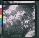 ���Ƚs��:12-3978