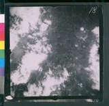 ���Ƚs��:12-3978