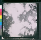 ���Ƚs��:12-3978