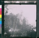 ���Ƚs��:12-3978