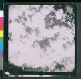 ���Ƚs��:12-3978