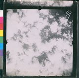 ���Ƚs��:12-3978