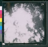 ���Ƚs��:12-3978