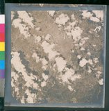 ���Ƚs��:12-4092