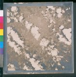 ���Ƚs��:12-4092