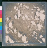 ���Ƚs��:12-4092