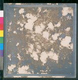 ���Ƚs��:12-4092