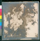 ���Ƚs��:12-4092