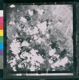 ���Ƚs��:12-4369