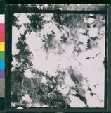 ���Ƚs��:12-4369