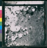 ���Ƚs��:12-4369